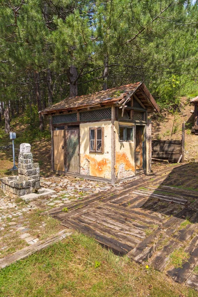 Golubici, små järnvägsstation i Tara bergen, Serbien. — Stockfoto