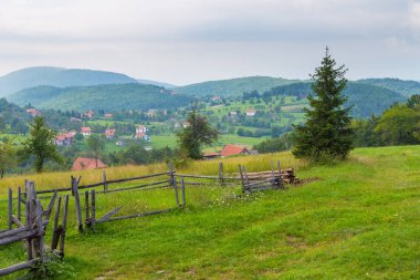 Doğal manzaralı Tara dağ, Sırbistan.