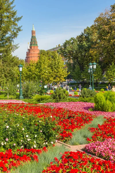 Moskova Kremlin kule ve Bahçe, Rusya görüntüleme.