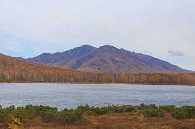 Bystra nehri, sonbaharda orman , Kamçatka, Rusya.