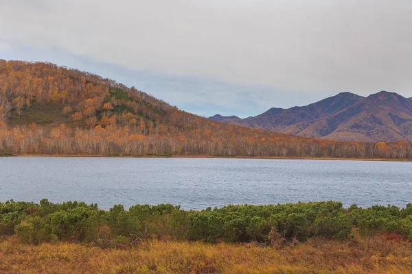 Río Bystra, bosque en otoño, Kamchatka, Rusia . —  Fotos de Stock