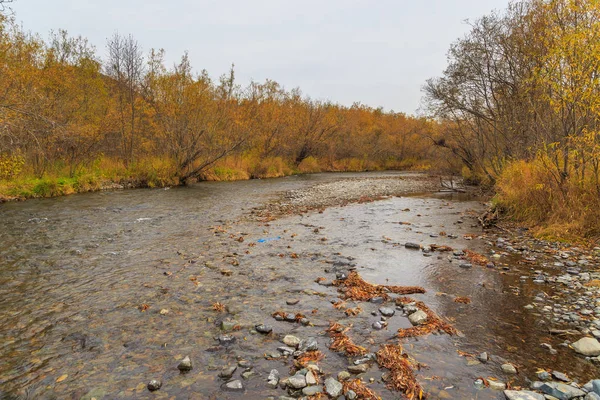 Warmwasser in heißen Quellen in Kamchatka, Russland. — Stockfoto