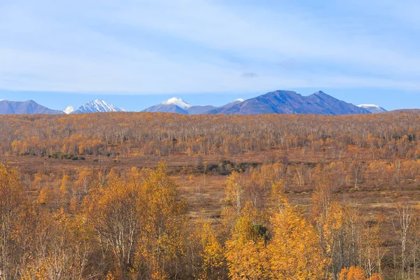 Floresta em cores de outono e montanhas orientais no fundo. Península Kamchatka, Rússia . — Fotografia de Stock
