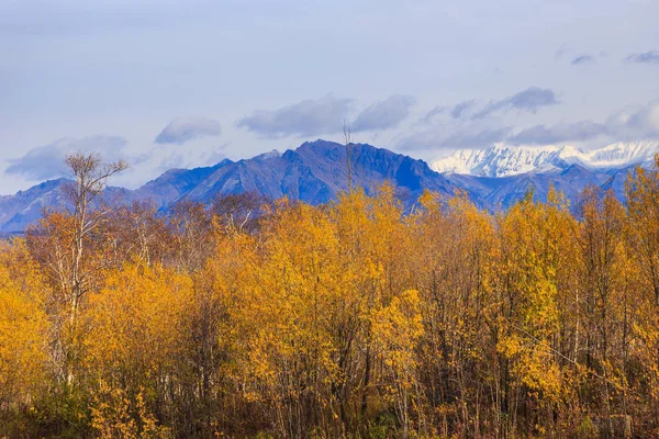 Lesy v podzimních barvách a východní hory na pozadí. Poloostrov Kamčatka, Rusko. — Stock fotografie