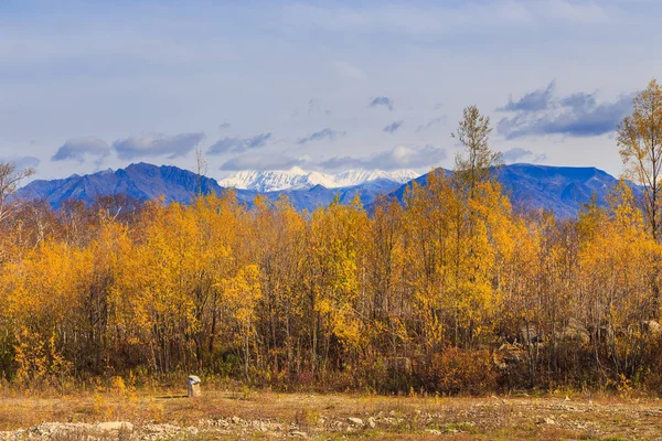 Bosque en colores otoñales y montañas orientales en el fondo. Península Kamchatka, Rusia . — Foto de Stock