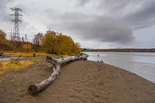 カムチャツカ川、ビーチで丸太木材、コジリエフスク、ロシア. — ストック写真