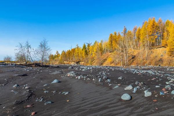 Área volcánica Monte Ostry Tolbachik, arena negra, árboles rotos y piedras, Kamchatka, Rusia . —  Fotos de Stock