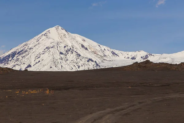 Гора Остри Толбачик, самая высокая точка вулканического комплекса Камчатки, Россия . — стоковое фото