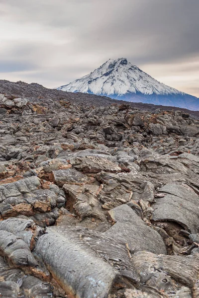 ボルシャヤ・ウディナ山、火山巨大、カムチャツカの火山複合体の一つ、ロシア. — ストック写真