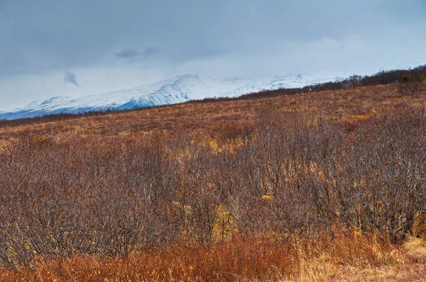 Paisaje en colores otoñales y montañas en el fondo. Península Kamchatka, Rusia . —  Fotos de Stock