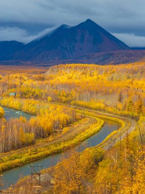 Küçük nehir, sonbaharda orman, Kamchatka, Rusya.