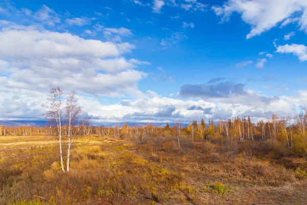 Floresta em cores de outono na Península de Kamchatka, Rússia . — Fotografia de Stock