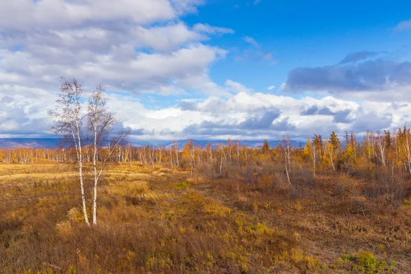 Wald in Herbstfarben auf der Halbinsel Kamtschatka, Russland. — Stockfoto