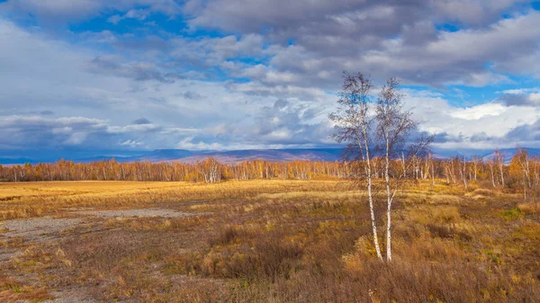 Floresta em cores de outono na Península de Kamchatka, Rússia . — Fotografia de Stock
