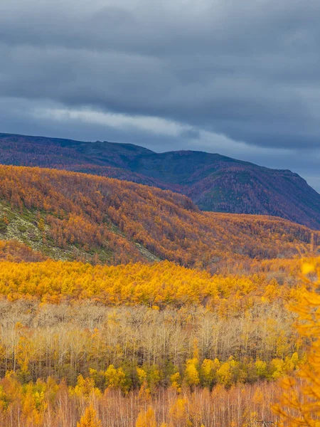 Vista de la montaña, bosque en otoño, Kamchatka, Rusia . —  Fotos de Stock