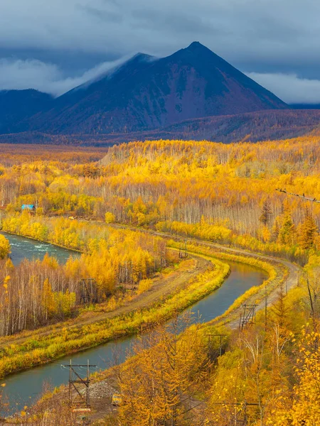 Küçük nehir, sonbaharda orman, Kamchatka, Rusya.