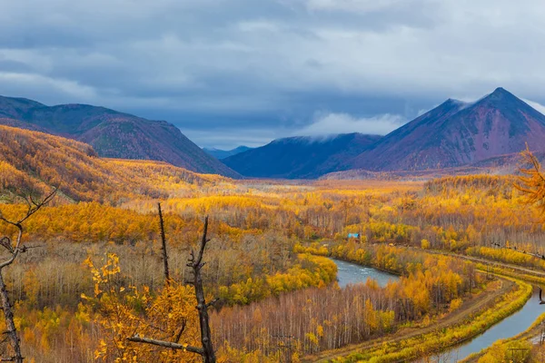 Kleine rivier, bos in de herfst, Kamtsjatka, Rusland. — Stockfoto