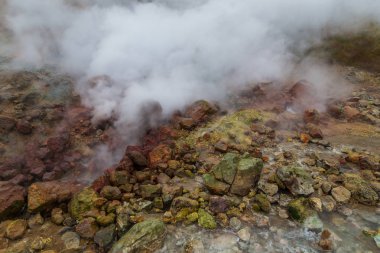 Küçük Gayzerler Vadisi'nde su buharı. Kamçatka, Rusya Federasyonu.
