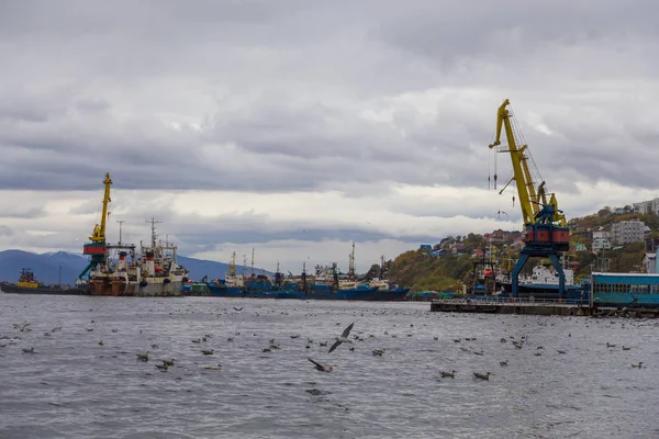 港のクレーンと船の眺め、ペトロパブロフスク・カムチャツキー、ロシア. — ストック写真