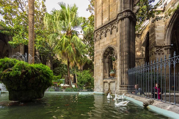 Garden with a pond at Barcelona Cathedral, Barcelona, Spain. — Stock Photo, Image