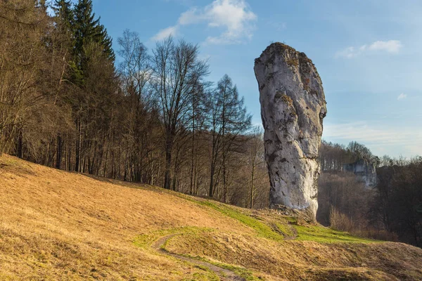 Μαζούγκα Χέρκουτζα, ψηλό ασβεστόλιθο, Suloszowa, Πολωνία. — Φωτογραφία Αρχείου