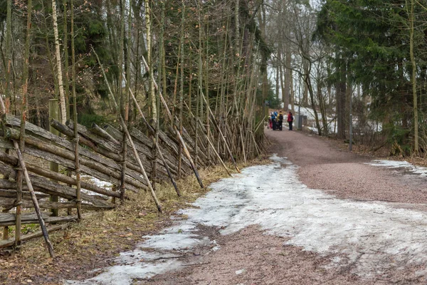 Ścieżka leśna na wyspie Seurasaari, Helsinki, Finlandia. — Zdjęcie stockowe