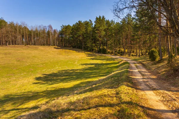 Лес с поляной в Кашубии, Померания, Польша . — стоковое фото