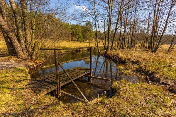 Petit étang entouré de forêt, Dziemiany, Pologne . — Photo