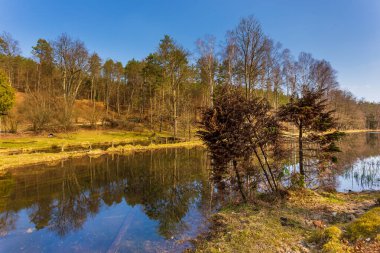 Göllerden akan küçük bir nehir, Pelk, Kashubia, Polonya.