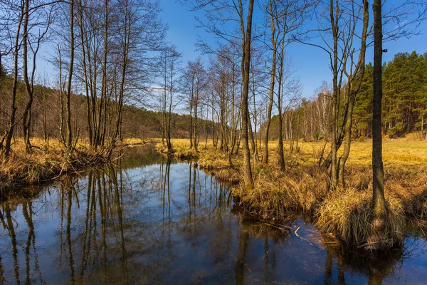 Niewielka rzeka przepływająca przez jeziora, Pelk, Kaszuba, Polska. — Zdjęcie stockowe