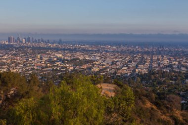 Griffith Park, Kaliforniya 'daki tepeden Los Angeles' ın panoramik manzarası..