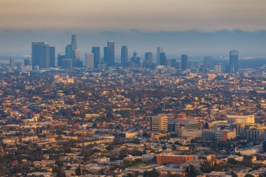 Griffith Park, Kaliforniya 'daki tepeden Los Angeles' ın panoramik manzarası..
