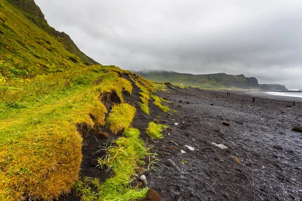 Veduta Della Spiaggia Nera Vulcanica Vik Myrdal Islanda Erba Verde — Foto Stock
