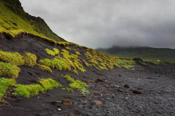 Vista Playa Negra Volcánica Vik Myrdal Islandia Hierba Verde Musgo —  Fotos de Stock