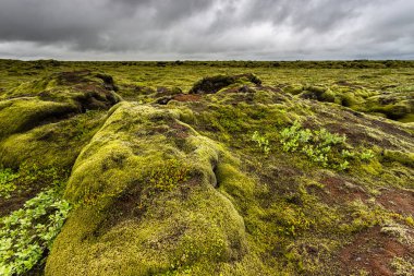 Yeşil yosun lav tarlası, Güneydoğu İzlanda, çevre yolu alanı, 1 numaralı yol..