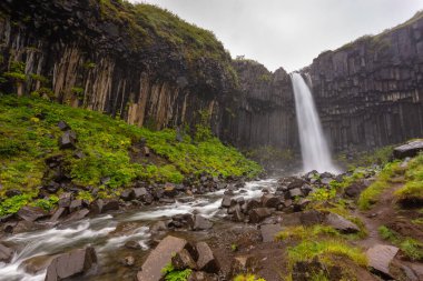 Svartifoss Şelalesi manzarası, Vatnajokull Ulusal Parkı 'ndaki Skaftafell' deki geometrik bir kaya üzerindeki dar şelale..