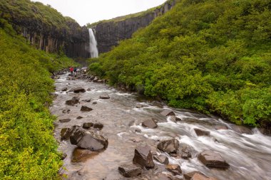 Svartifoss Şelalesi manzarası, Vatnajokull Ulusal Parkı 'ndaki Skaftafell' deki geometrik bir kaya üzerindeki dar şelale..