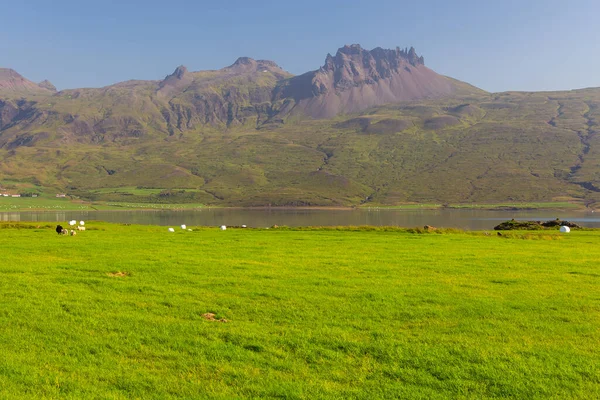 Vista Costa Fiorde Berufjordur Pjodvegur Estrada Número Costa Leste Islândia — Fotografia de Stock