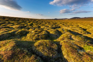 Ülkenin kuzey kesiminde, Krafla bölgesinde İzlanda yabanı manzarası. Arka planda dağlar, İzlanda.