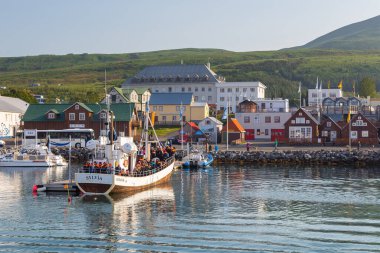 Husavik, İzlanda - 25 Ağustos 2015: Liman demirli kesiciler, halen balina izleme seyahatleri için kullanılıyor.