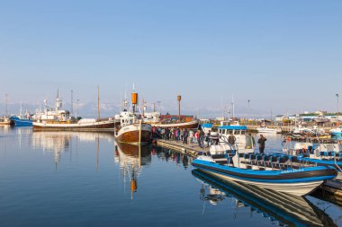 Husavik, İzlanda - 25 Ağustos 2015: Liman demirli kesiciler, halen balina izleme seyahatleri için kullanılıyor.