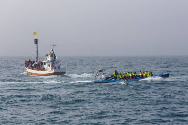 Husavik, İzlanda - 25 Ağustos 2015: Balina izleme sırasında Grönland Denizi 'nde turistli tekneler.