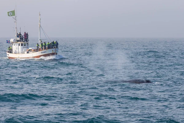 Husavik Islândia Agosto 2015 Barcos Com Turistas Mar Groenlândia Durante — Fotografia de Stock