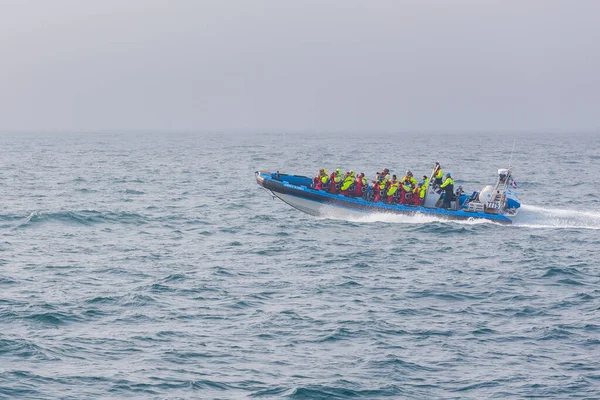 Husavik, İzlanda - 25 Ağustos 2015: Balina izleme sırasında Grönland Denizi 'nde turistli tekneler.