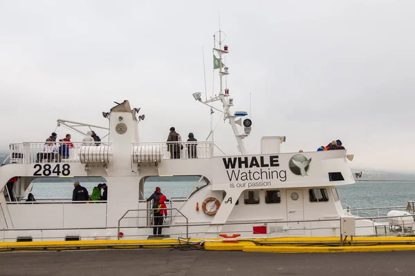 アイスランドのアクエリリ2015年8月25日 現在鯨体観察のために使用されている港に係留されているカッター — ストック写真