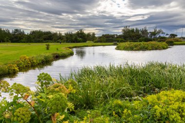 Tjornin Gölü ve başkentin merkezindeki yeşil alanlar, Reykjavik, İzlanda.