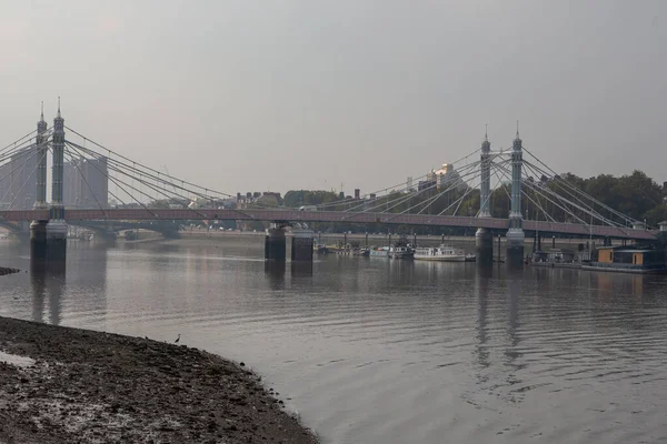 Reino Unido Londres Octubre 2015 Vista Albert Bridge Road Río — Foto de Stock