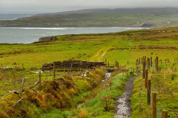 Burren Way Kyststi Til Cliffs Moher Enge Græsgange Irland - Stock-foto