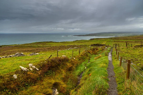 Burren Way Part Menti Ösvény Vezet Sziklák Moher Rétek Legelők — Stock Fotó