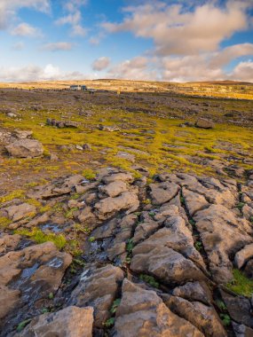 Atlantik Kıyısı Okyanusu, Ireland- 07 Kasım 2015: Kuzey Atlantik Okyanusu 'nun kayalık kıyılarındaki insanlar, Burren Yolu.